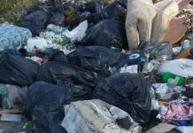 Strada provinciale Praia a Mare-Aieta: Una discarica a cielo aperto