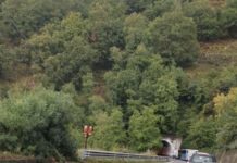 SS107, Incidente stradale sulla Paola-Cosenza