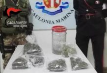 OLTRE MEZZO KG DI MARIJUANA IN CASA DI PREGIUDICATI, ARRESTATI