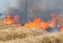 Rimase ferito in un incendio di sterpaglie, muore 50enne