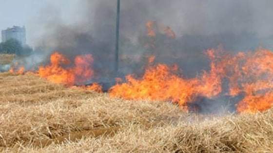 FB_IMG_1573483807991