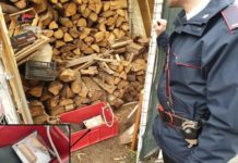 Nocera Terinese, bombe rudimentali in una legnaia