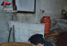 SEQUESTRATO FRANTOIO, SCARICAVA LIQUAMI IN UN FOSSO DEMNIALE