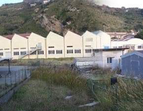 FB_IMG_1574718172751