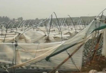 Tromba d’aria a Cariati (cs)distrutti sei ettari di serre