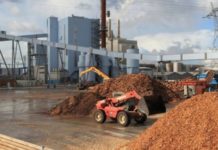 Rende, centrale a biomasse: 11 anni di veleni anche nel Crati?