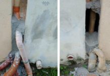 Orrore in Provincia di Cosenza, gatti murati vivi perché davano fastidio