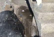 Belvedere, scarico fognario in mare “odore nauseante”