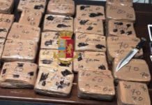 Da Gioia Tauro a Torino con 1,5 MLN di Euro nascosti nel Tir, due arresti