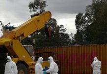Cadavere decapitato nel Torinese, potrebbe essere il calabrese sparito da Agosto