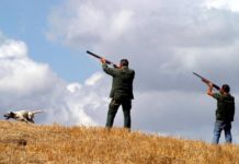 Colpito da una fucilata, grave un cacciatore paolano