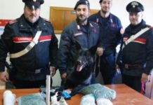 Oltre mezzo chilo di cocaina e 2600 euro in contanti, due arresti a Cosenza