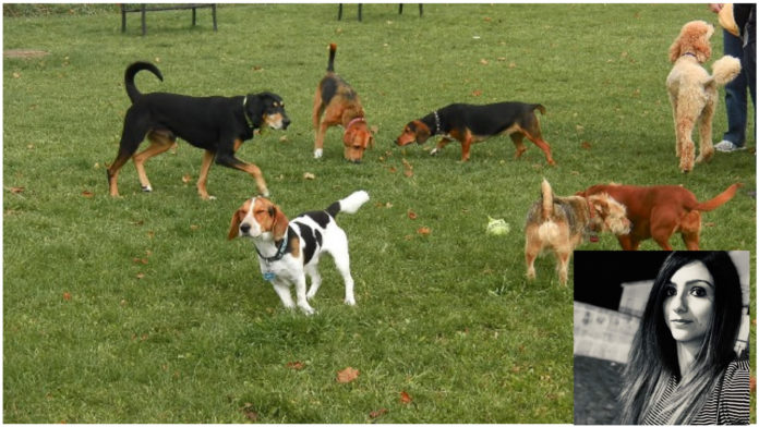 inCollage_20191221_154028647