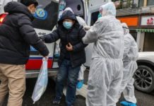 Diamante, Coronavirus a scuola “Allarme ingiustificato” Verifiche in corso