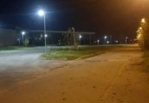 Orrore nel cosentino, Gatto dato alle fiamme IMMAGINI FORTI