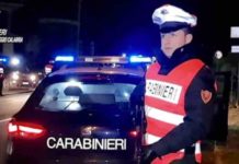 Droga dalla Calabria alle Dolomiti, sequestrata marijuana per 100 MLN di Euro