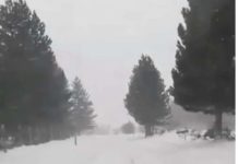 Chiuso ….per neve il Centro per sci da fondo di “Carlomagno”