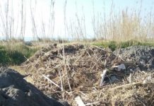 Praia a Mare, L’Area dei Gigli di Mare e delle Dune deposito di rifiuti.