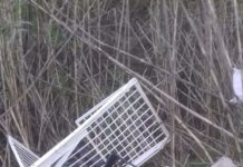 Orsomarso, fiume Lao, i rifiuti saranno rimossi