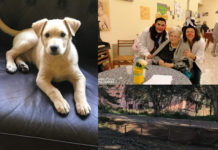 San Lucido Dall’ortoterapia ai Pet, le iniziative a Casa Serena insieme agli anziani