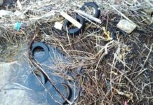 “Discariche abusive sull’Isola di Cirella e alla foce del Corvino”