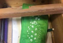 Fuscaldo, Topi nella scuola della Marina, sindaco ordina la chiusura