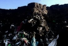 Dipendente comunale sorpreso a gettare rifiuti in una discarica abusiva