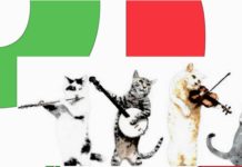 Amantea, Lazzaroli “Il Partito Democratico composto da 4 Gatti”