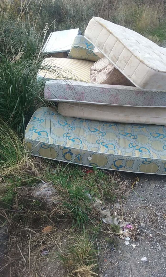 FB_IMG_1582973825690