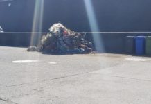 Cetraro “Sul porto gli sforzi dell’amministrazione non bastano”