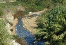 Veleni nel fiume Mucone: sequestrato depuratore, indagati i manager della Consuleco