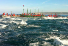 Cetraro, operazione “Tonno Rosso” Gli indagati davanti al giudice