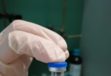 Coronavirus, dai ricercatori dell’Unical nuovi anticorpi sintetici “Potrebbero bloccare infezione”