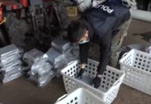 150 panetti di Cocaina, 537,526 kg di droga,in manette figlio del boss Molé