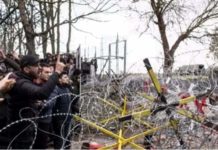 Europavirus -Di Tommaso Merlo-