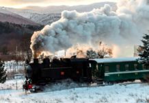 Coronavirus, annullato evento “Treno della mimosa” con il treno della Sila