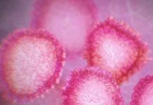 Paola, al vaglio potenziali contatti con paziente positivo, ordinanza del sindaco