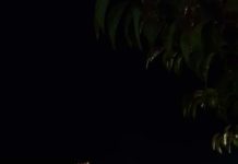 Terranova Da Sibari (Cs) due persone positive al Coronavirus