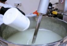 Coronavirus, L’Unical Dona Ai Comuni Del Cosentino 500 Litri Di Igienizzante Per Mani