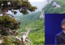 “Parco del Pollino, mandate via Pappaterra”