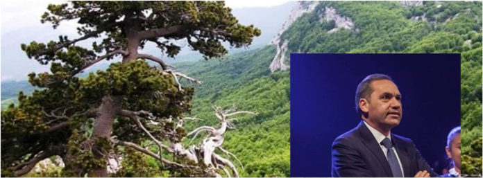 inCollage_20200303_171702804