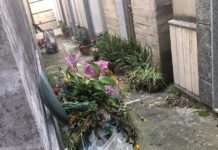 Cetraro, cimitero nel degrado, il PD interroga il sindaco