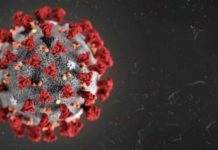 Coronavirus, il bollettino Della Regione Calabria