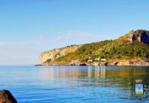 Covid19, Praia a Mare, 1500 test rapidi “Goccia di sangue” per i cittadini