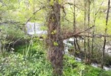 Centraline Fiume Abatemarco, il caso al Parlamento Europeo