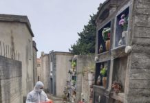 Cetraro, Pulizia straordinaria del Cimitero comunale