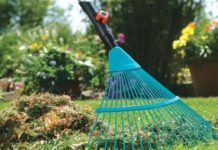 Cetraro, Altri 6800€ per spazzamento e sanificazione “Va bene, ma chiediamo maggiore pulizia”