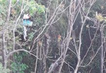 Cetraro Attiva al sindaco “Strade sporche, serve bonificare, dove sono finite telecamere?”