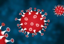 Coronavirus, il bollettino della Regione Calabria