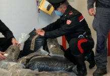 Operazione Antidroga a Cetraro, 15Kg di Marijuana -DETTAGLI-